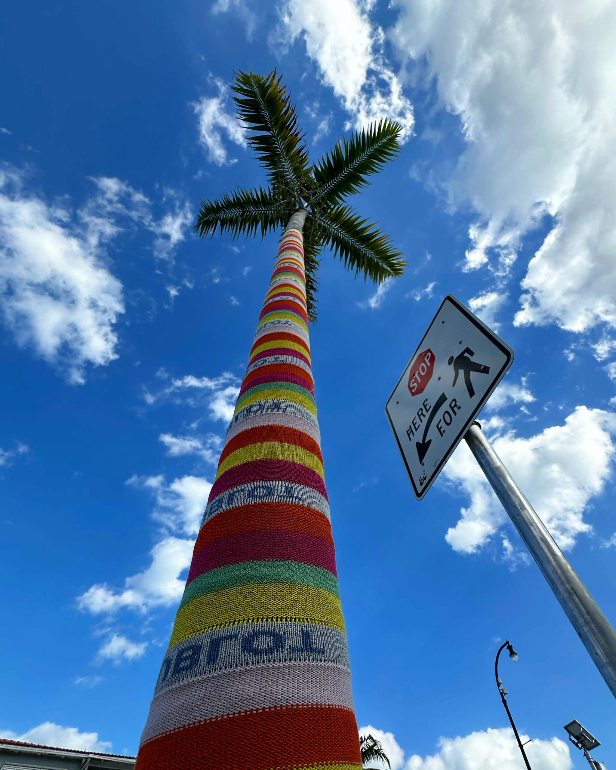 A palm tree that is covered in knitted fabric. Part of the KNIT does not equal SWEATER exhibition