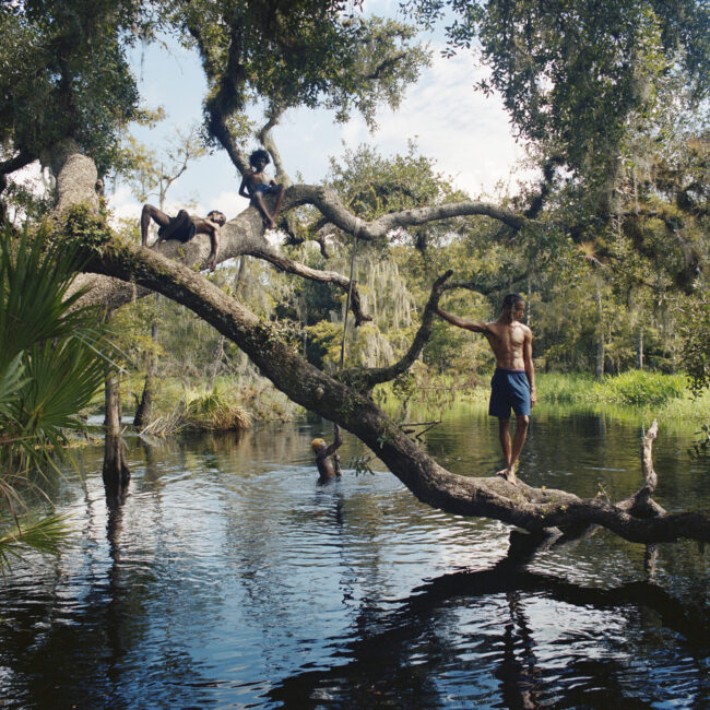 Josh Aronson, Creek, 2024, archival pigment print, by Josh Aronson.
